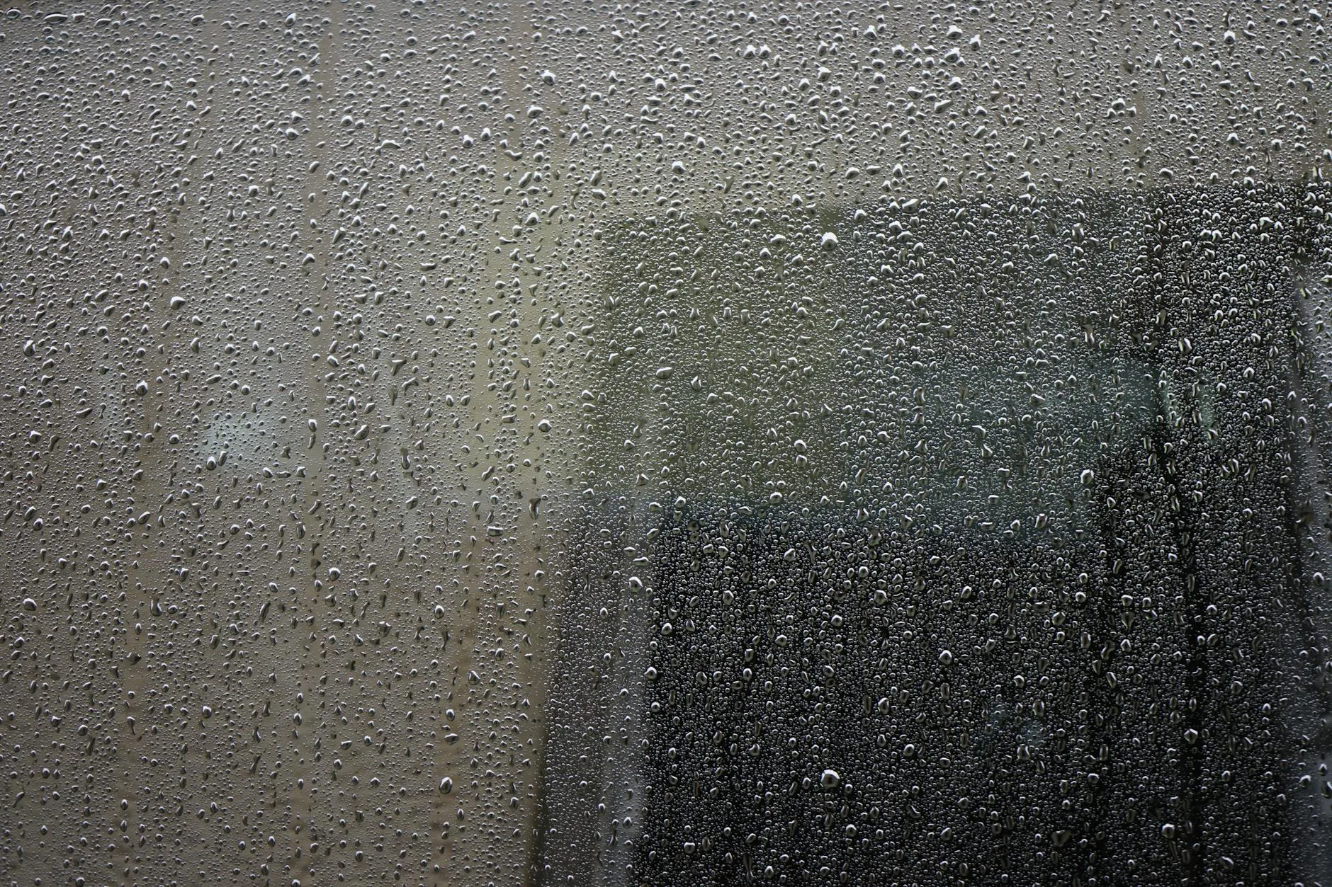 Condensation droplets on a window showing indoor moisture problem