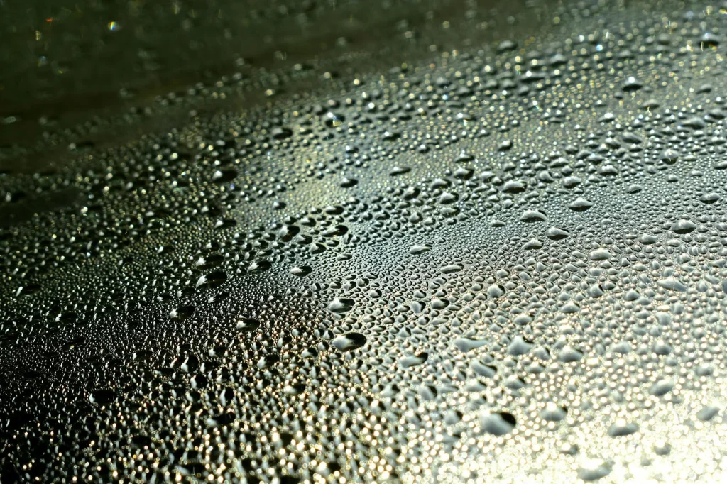 Morning condensation on a window with water droplets