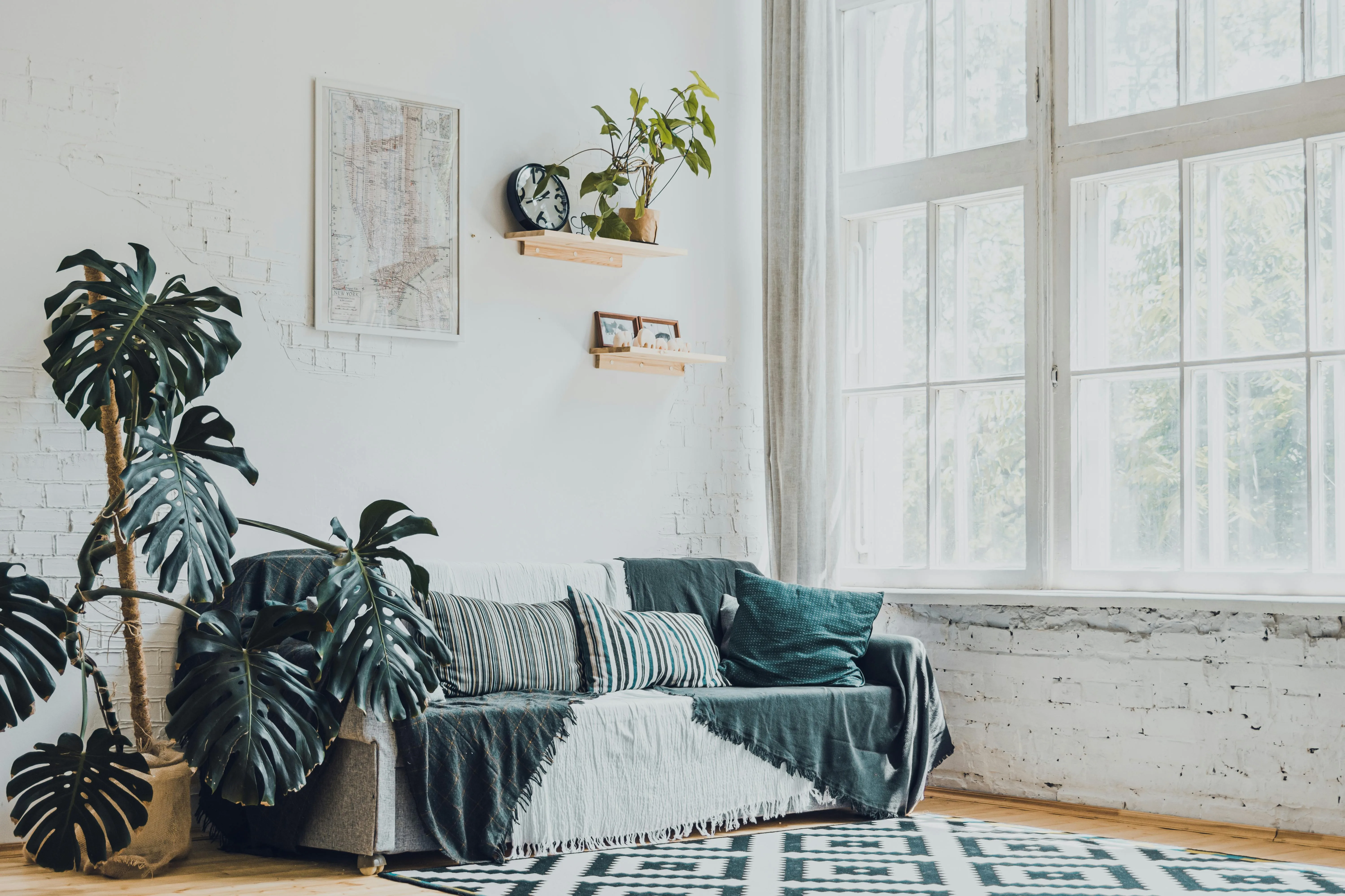 Bright living room with houseplants that help reduce VOCs and improve indoor air quality