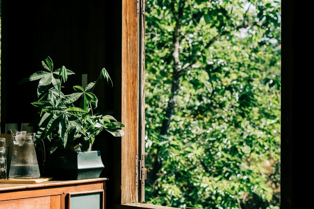 Open window letting fresh air into a bright living room