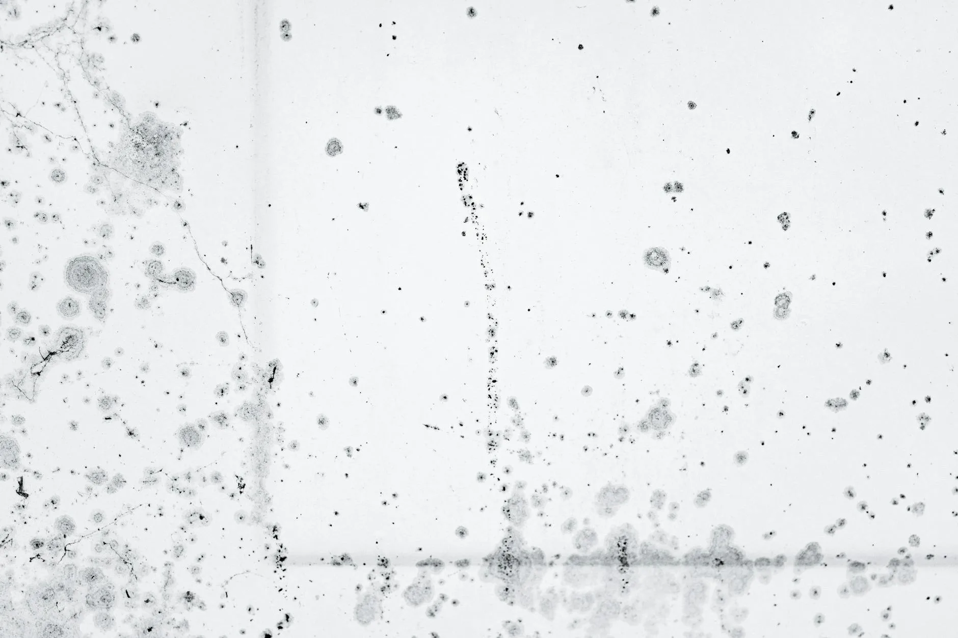 Black mould spots on a damp wall caused by excess humidity