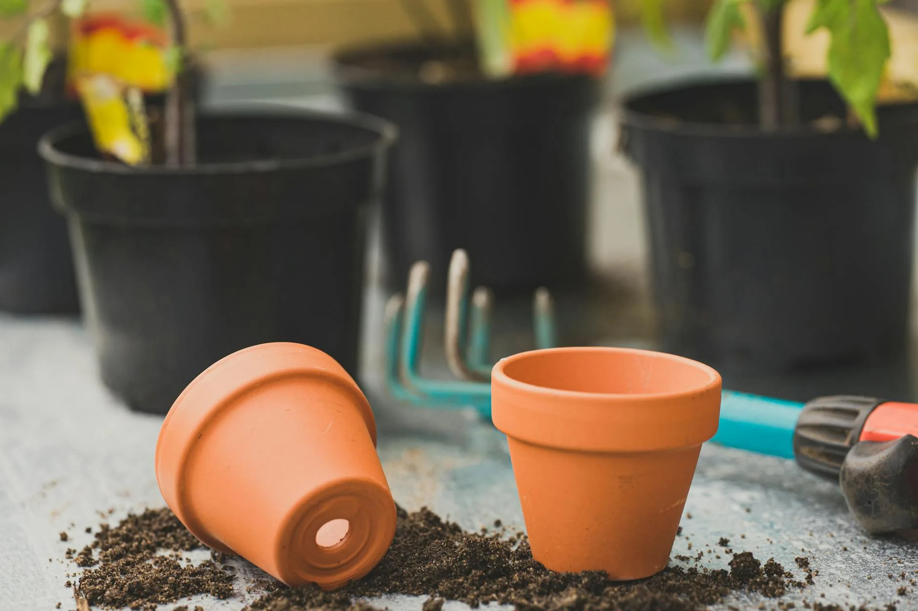 Terracotta plant pot with soil close up