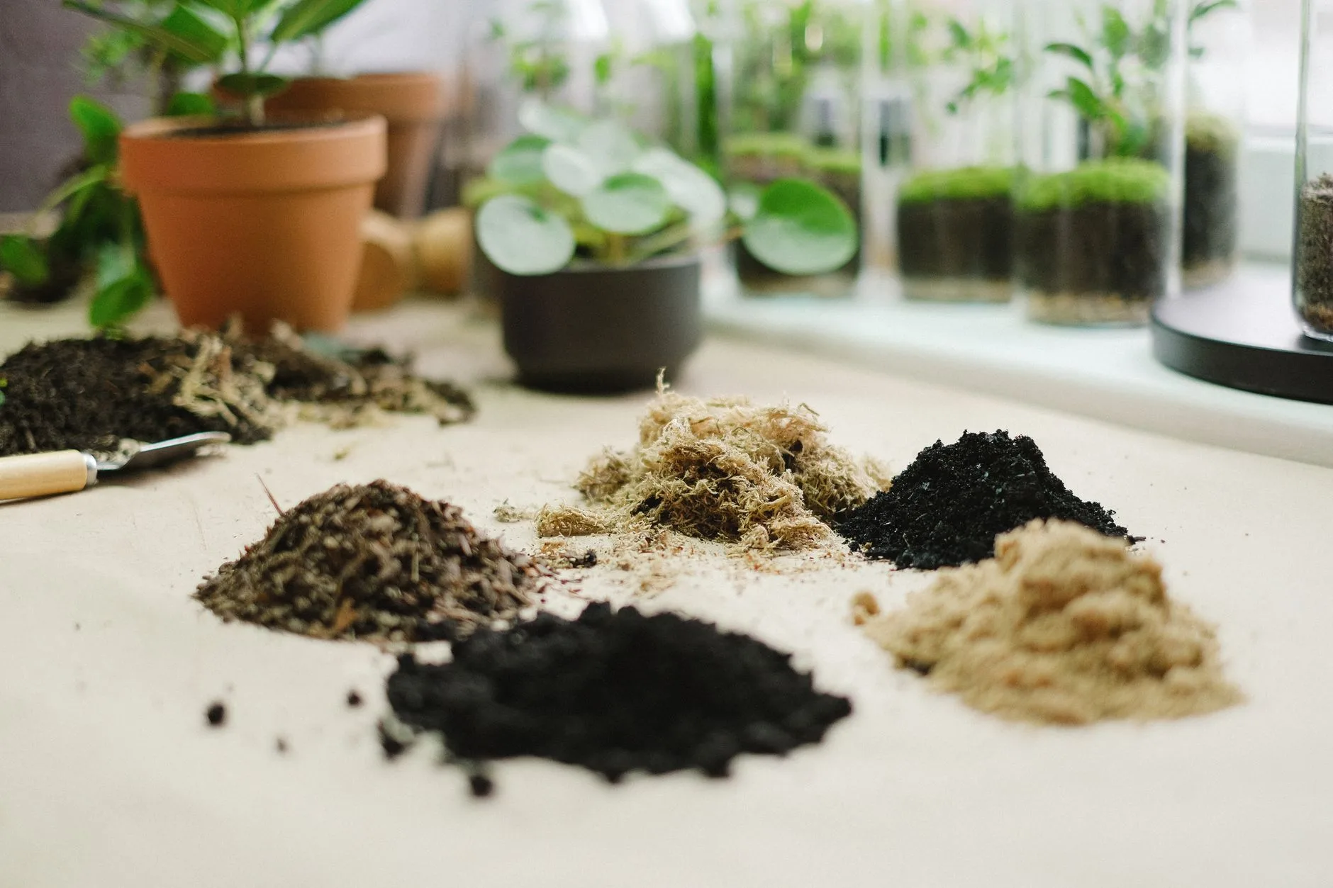 Terrarium kit materials with glass, moss, soil and pebbles